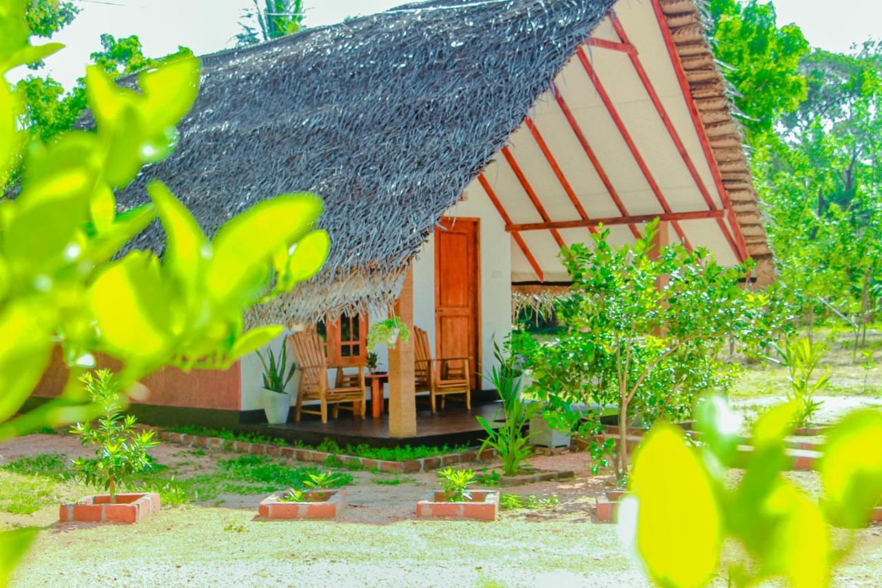 Sigiri Enaya Cottage Sigirija Zewnętrze zdjęcie